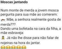 Moscas jantando. Estavam jantando duas moscas, quando uma pergunta para a outra....