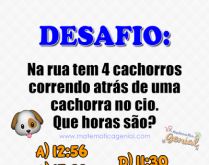 Quantas horas são?. Na rua tem 4 cachorros correndo atrás de uma cachorra....