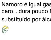 Namoro é igual gasolina. Hoje em dia namorar é só pra total-flex....