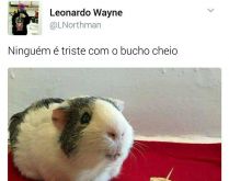Ninguem é triste com o bucho .... Não há tristeza que fique....