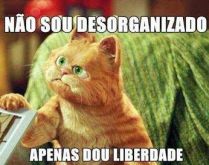 Não sou desorganizado. Apenas dou liberdade pras minhas coisas ficarem aonde elas quiserem....