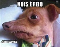Nois é feio, mas se deixar fa.... Imagem engraçada para status, compartilhe com seus amigos e se divirta!.