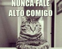 Nunca fale alto comigo. Sabe aquela pessoa idiota que só conversa gritando....