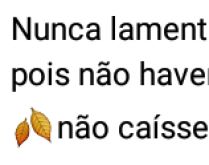 Nunca lamente uma ilusão perdida. Pois não haveria fruto se a flor não caísse..