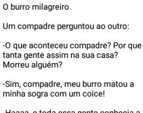 O burro milagreiro. O burro milagreiro... um compadre perguntou ao outro....