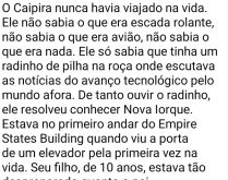 O caipira em nova iorque. O caipira que nunca havia saído de sua cidade no interior, vai para Nova Iorque com o filho....