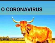 O coronavírus é igual chifre. Você fala, mostra, explica... mas a pessoa não acredita..