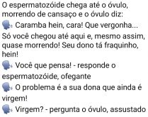O Espermatozóide e o Óvulo. O Espermatozóide encontra-se com o Óvulo e começam a conversar....