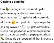 O galo, o pintinho e o papagaio. Um papagaio, muito esperto, estava passando pelo galinheiro quando avistou uma cena inusitada....
