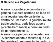 O Gaúcho e a Vegetariana. Situação dentro de um avião entre um gaúcho e uma vegetariana..