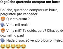 O gaúcho querendo comprar um .... O gaúcho queria comprar um burro e perguntou pro vendedor quanto custa....
