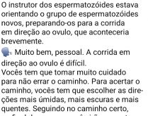 A corrida dos espermatozóides. O instrutor dos espermatozóides estava orientando o grupo de espermatozóides novos....