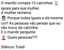 Quais pessoas?. O maridão presenteia a sua esposa com 12 calcinhas da mesma cor... ela indignada pergunta....