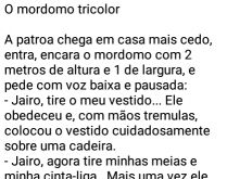 O mordomo tricolor. A patroa chega em casa mais cedo, entra, encara o mordomo....