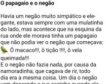 O papagaio e o negão. Havia um negão muito simpático e elegante, sempre acompanhado de uma mulatinha linda....