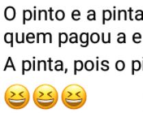 O pinto e a pinta. Veja só como esse trocadilho faz a diferença... o pinto e a pinta foram pro cinema, adivinha quem pagou o ingresso?.