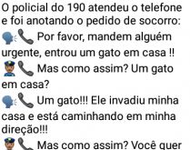 Entrou um gato em casa!!! .... O policial do 190 atendeu o telefone e foi anotando o pedido de socorro....
