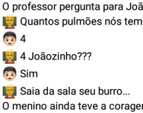 Quantos pulmões temos, Joãoz.... Mais uma pérola de Joãozinho....