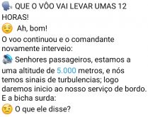 A bicha gaúcha surda. Uma bicha surda está no avião, auxiliada por outra, começa a fazer perguntas....