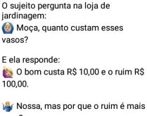 Na loja de jardinagem. Um sujeito indaga o porquê do vaso ruim ser 10x mais caro que o bom....
