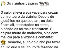 Os vizinhos caipiras. O caipira leva a sua vaca para cruzar com o touro da vizinha....