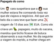 Papagaio do Corno. Um suspeitando que a sua esposa estava o tranindo, resolveu colocar seu papagaio de butuca observando a sua mulher....