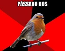 Passaro dos limites. Passaram dos limites, ou pássaro dos limites? kkkkkkk
Imagem engraçada para enviar para grupos.
