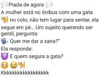 Quem segura a gata?. Uma mulher está no ônibus com uma gata no colo....