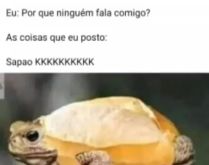 Por que ninguem fala comigo?. Coisas que eu posto: sapão kkkkkk.