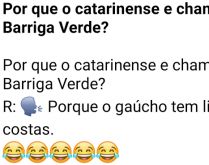 Por que o catarinense e chamad.... Por que o catarinense e chamado de Barriga Verde? 
R: Porque o gaúcho tem limo nas costas..