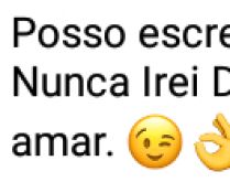 Nunca irei dizer Eu Te Amo sem.... Posso escrever kkkk sem rir, mas nunca irei dizer....