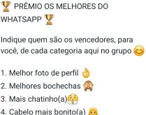 Prêmio os melhores do whatsapp. Indique quem são os vencedores, para você, de cada categoria aqui no grupo..