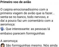 Primeiro voo do caipira. O caipira vai fazer seu primeiro voo, chega no avião todo emocionado....