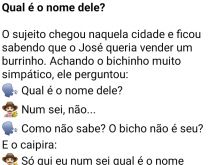 Qual é o nome dele?. O sujeito queria comprar um burrinho do seu José, quando pergunta o nome dele para o dono....