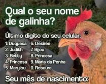 Qual o seu nome de galinha?. Brincadeira para mandar no status/grupos e zuar à beça com as amigas.