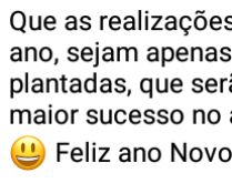 Sementes que serão colhidas n.... Que as realizações alcançadas este ano, sejam apenas sementes plantadas....