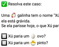 Mistério da galinha Xú. A galinha se chama Xú e está grávida....