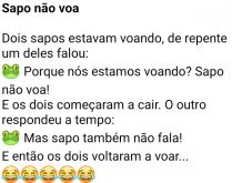 Sapo não voa. Dois sapos estavam voando, de repente um deles falou....