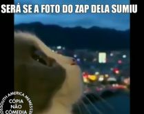 Será se a foto do zap dela su.... Para colocar uma foto mais bonita?.