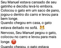 O gatinho insistente. Seu Manuel, cansado do seu gatinho, decidiu levá-lo embora, colocou o gato em um saco de pano....