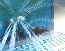 Termos da internet. Veja aqui alguns dos termos mais comuns da internet..