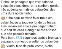 O papagaio boca-suja. Tinha um papagaio que vivia falando palavrão, certa vez sua dona, falou para o bichinho....