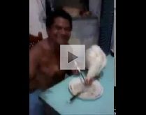 Tô comendo arroz com frango. Flávio o que você tá fazendo?.