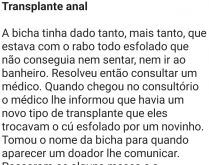 Transplante anal. Uma bichinha foi num consultório, quando seu médico informou a ela que havia um novo procedimento....