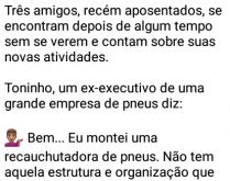 Aposentadoria do senador. Três amigos, recém aposentados, se encontram depois de algum tempo sem se verem e contam sobre suas novas atividades....
