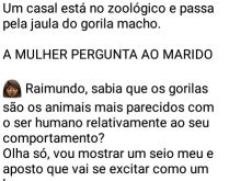 Casal no zoológico. Um casal está no zoológico e passa pela jaula do gorila macho. A mulher pergunta ao marido....