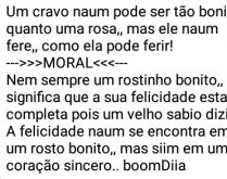 Um cravo não fere como uma rosa. Um cravo não pode ser tão bonito como uma rosa....
