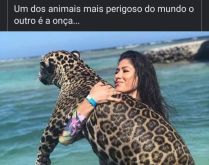 Um dos animais mais perigosos .... O outro é a onça kkkkk.