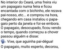 O papagaio desbocado. No interior do Ceará, uma freira viu um papagaio rezando pai-nosso, etc... e comprou na hora, mas não esperava que o bicho falasse tanto palavrão....