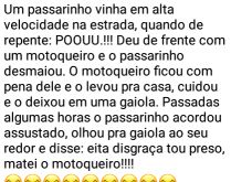 Um passarinho vinha em alta ve.... ...o passarinho bateu de frente com um motoqueiro e....
